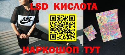 стаф Шелехов