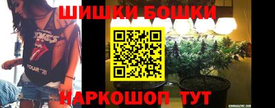 стаф Шелехов