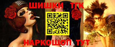 стаф Шелехов