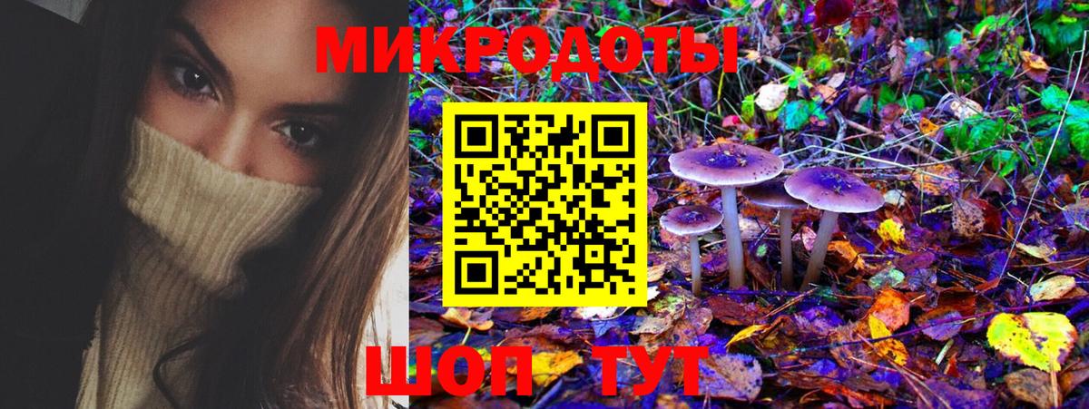 Галлюциногенные грибы Всеволожск