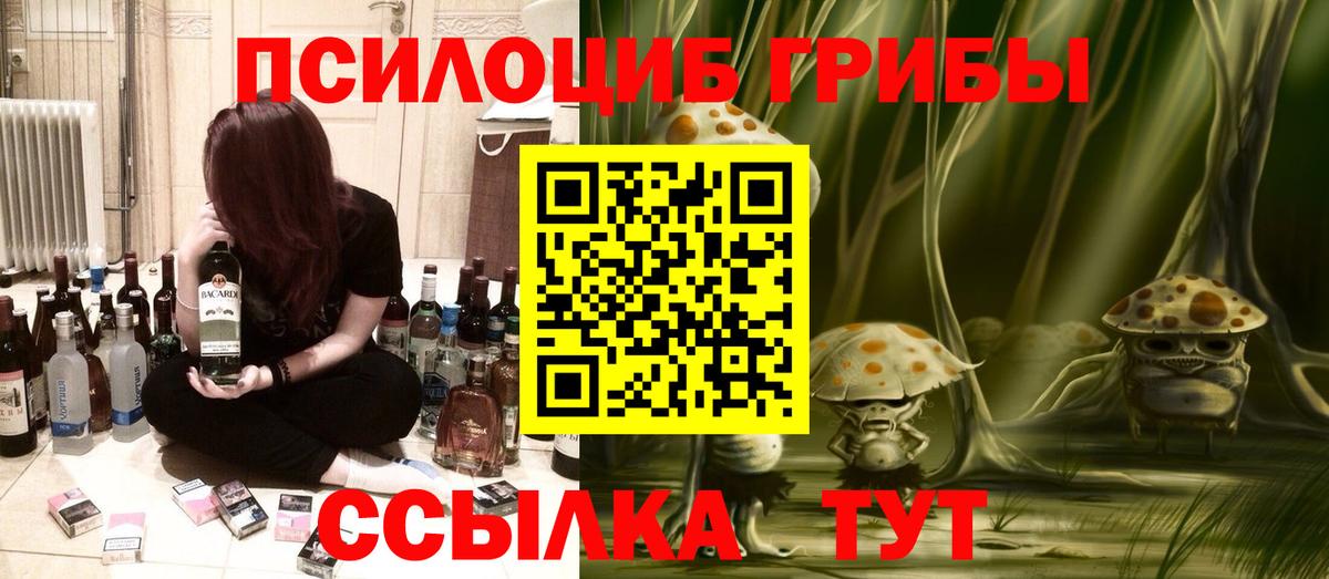 Галлюциногенные грибы Psilocybe Всеволожск
